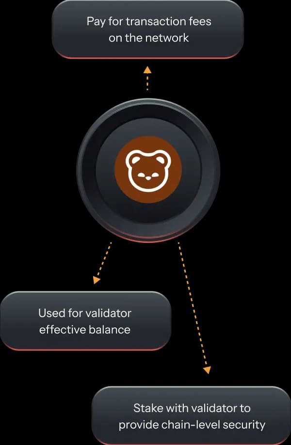 What is BERA